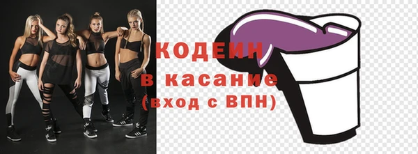 хмурый Алексин