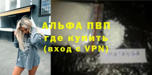 хмурый Алексин