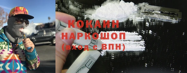 хмурый Алексин