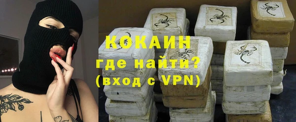 хмурый Алексин