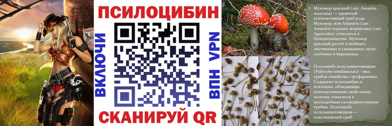 Псилоцибиновые грибы GOLDEN TEACHER  MEGA ТОР  Киреевск  как найти закладки 